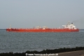 Eagle San Pedro (JS-240415-06).jpg