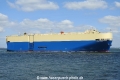 Grand Pavo (LW-060525-01).jpg