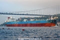 Blue (OK-110814-1).jpg