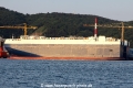 Golden Ray (MS-270517-05).jpg