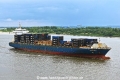Windswept 060723-2.jpg