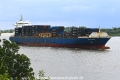 Windswept 060723-6.jpg
