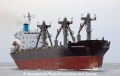 Tuckahoe Maiden (MM-020911-2).jpg
