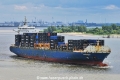 Windswept 060723-1.jpg