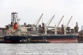 TTM Dragon RV-160912.jpg