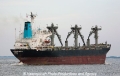 Tuckahoe Maiden (MM-020911-4).jpg