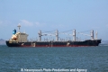 Ultra Ace (MS-140512-02).jpg
