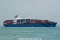 YM Hiroshima OS-221107-06.jpg
