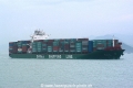 Xin Nan Tong OS-170404-3.jpg