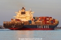 YM Evolution TL-220823-5.jpg