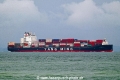 YM Capacity OS-071022-11.jpg