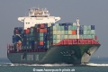 Xin Yang Zhou OS-311008-01.jpg