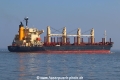 Union Taylor TL-310321-5.jpg