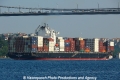 Zim Alabama (OK-120711-3).jpg