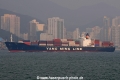 YM Sun OS-271008-04.jpg