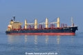 Union Taylor (OK-310321-1).jpg
