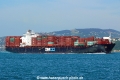 Zim Pacific (OK-250508-0).jpg