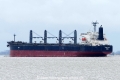 Vega Rose (KK-030516-3).jpg