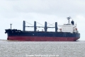 Vega Rose (KK-030516-0).jpg