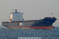 Zim Pacific OS-301008-02.jpg
