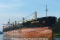 Vinalines Global (LW-030911-15).jpg