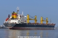 Viden (OK-220319-2).jpg