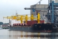 Viden (LW-300917-01).jpg