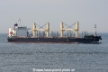 Venus Harmony JG-080820-01.jpg