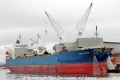 Voc Daisy RV-200612-01.jpg