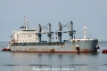Western Lima (JS-280517-07).jpg