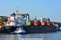 Western Aida (KB-D190914-01).jpg