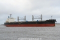 Western Harmony KH-220316-2.jpg