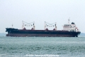 Western Lucrezia (MS-291016-03).jpg