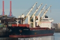 Western Aida (KB-D291219-01).jpg