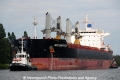 Western Wilton OS-270813-11.jpg