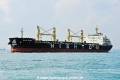 Xin Hai Tong 10 OS-161018-17.jpg