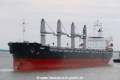 Zimrida (OK-250522-0).jpg
