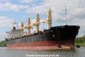 Atlantic Daisy RA-210515-01.jpg