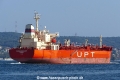 Cape Bradley (OK-210917-4).jpg