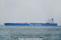Xin Han Yang OS-231017-01.jpg