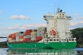 Panda 003 JB-011025-04.jpg