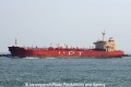 Cape Bird OS-260612-04.jpg