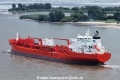 Bow Faith 220723-6.jpg
