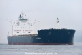 CPO America (KB-D021217-02).jpg