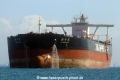 Xin Ning Yang (MS-050117-10).jpg