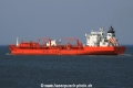 Bow Cardinal (JS-070511-12).jpg