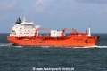 Bow Cardinal TL-021022-2.jpg