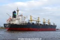 ASL Trinity (OK-260124-4).jpg
