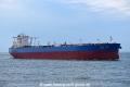 Yuan Hua Hu OS-140417-10.jpg