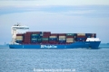 BG Blue (KK-260524-1).jpg